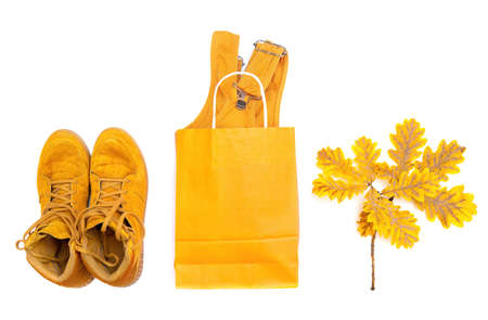 Autumn fashion outfit flat lay: orange sneakers and dress in a shopping bag by pigmented oak leaves isolated on white background.の写真素材