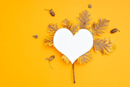 Vibrant autumn background made of pigmented autumn leaves, acorns and a heart-shaped paper cut-out on a yellow background.の写真素材