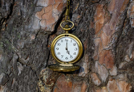 Close-up on an old fashioned bronze pocket watch on textured background of a tree trunk bark.