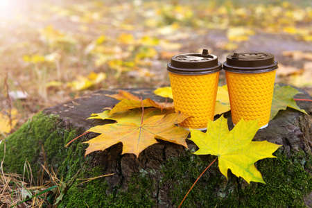 Close-up of two paper coffee cups standing on a tree stump covered with moss and autumn leaves against a blurred autumn foliage background.の写真素材