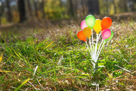 Colorful toy balloons sticking out of the ground in the forestの写真素材