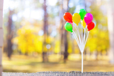 Colorful party balloons against the autumn forest background. Wonderful colors of fall.の写真素材