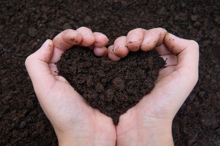 Female hands holding a heart shaped pile of soil. Earth day concept.の写真素材