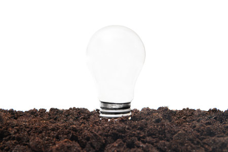 Matte white light bulb sticking out of the soil. Green energy concept.の写真素材