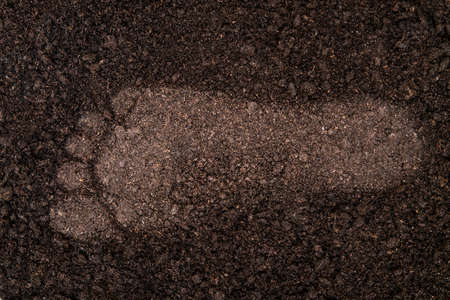 Close-up of a human footprint on the ground. Humanity's ecological footprint concept.