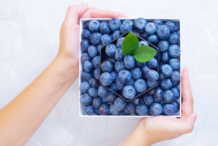 Crop view of female hands holding a box full of fresh ripe blueberries. Top view, neutral background, copy space.の写真素材