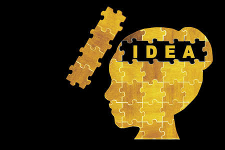 Word IDEA written inside the empty slots of a female's head shaped jigsaw puzzle isolated on black....