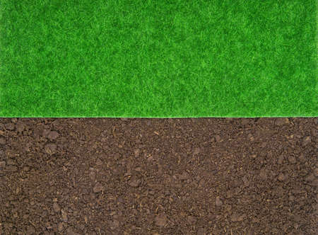 Background made of green grass lawn and soilの写真素材