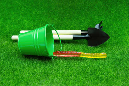 Miniature spade and rake with a small green bucket and a gummy worm on a grass. Earthworms affecting lawns and gardens.の写真素材
