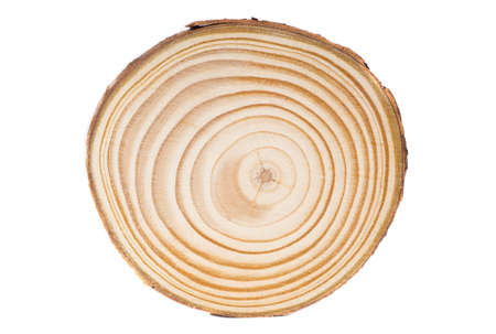Round wood cut close-up isolated on white background.