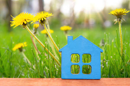 Flat wooden house shape against a dandelion field background at sunrise. Real estate related concept.の写真素材
