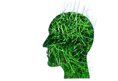 Fresh grass blades seen through a man's head shaped paper cut-out with copy space. Sustainable living concept.の写真素材