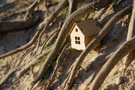 Miniature plywood toy house placed among big twisted tree roots on a sandy shore.の写真素材