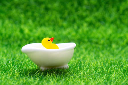 Tiny yellow duck in a miniature white bathtub isolated on green grass background with copy space.の写真素材