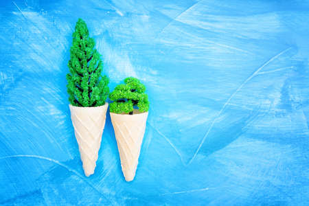 Two miniature trees in waffle ice cream cones isolated on a white-blue background.の写真素材