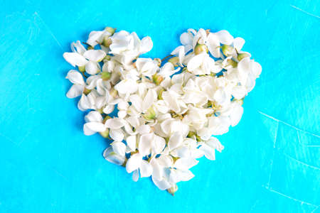 Heat shape made from white acacia flowers on a blue background. Innocence and purity concept. Mother's day card.の写真素材