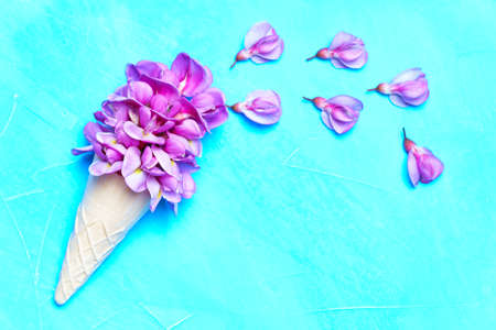 Pink acacia flowers in a waffle cone isolated on blue with copy space. Spring background art.の写真素材