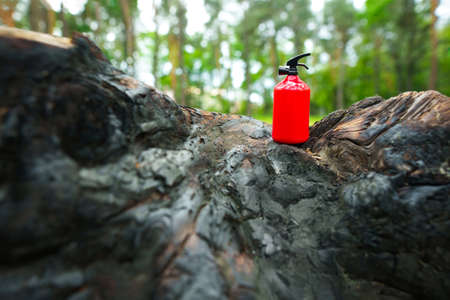 Tiny red fire extinguisher standing on a charred tree stump in the woods. Campfire safety rules...