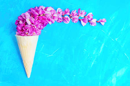 Violet acacia flowers in a waffle cone isolated on blue background with copy space.