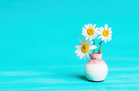 Tiny ceramic vase with fresh daisies isolated on blue background with copy space.