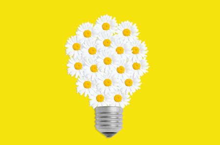 Alternative power concept: lightbulb symbol arranged from fresh daisy flowers isolated on yellow....