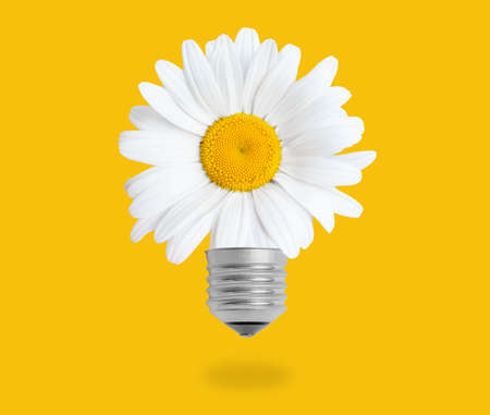 Lightbulb symbol made from a large daisy head isolated on yellow. Bright sustainable lifestyle idea.の写真素材