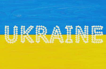 Word UKRAINE made from camomile flowers on a wooden background painted the colors of the national...