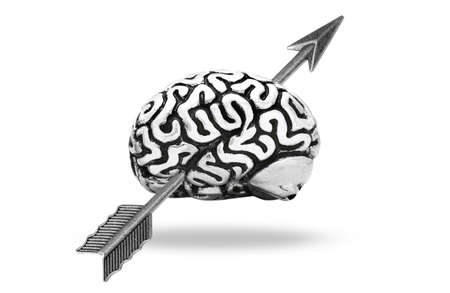 Steel human brain model pierced with a feathered arrow isolated on white background.の写真素材