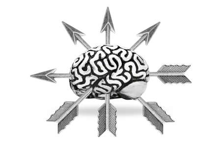 Human brain pierced by a group of feathered bow arrow isolated on white background.の写真素材