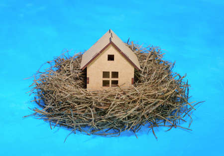 Small wooden house in a bird's nest isolated on blue background.の写真素材