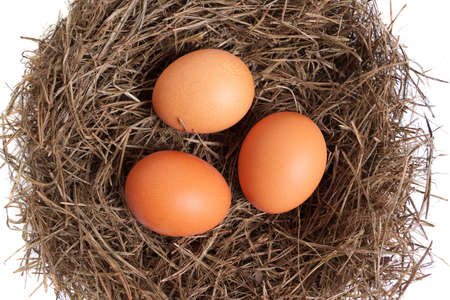 Close-up of three chicken eggs in a bird's nest isolated on white.