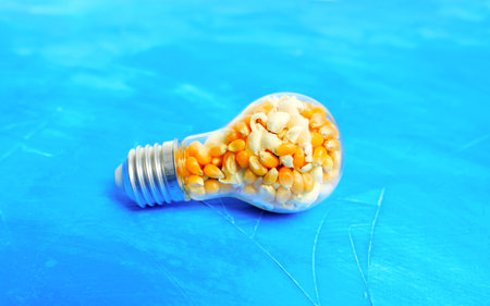 Lightbulb full of raw and popped popcorn kernels on a blue background.