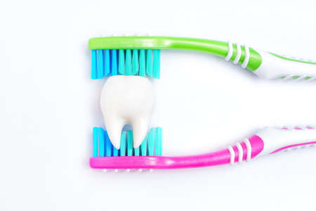 Large white tooth placed between two bright toothbrushes isolated. Dental hygiene concept.