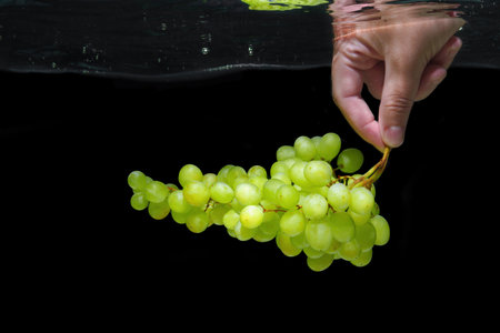 Bunch of white grapes in hand underwater isolated on black background.の写真素材