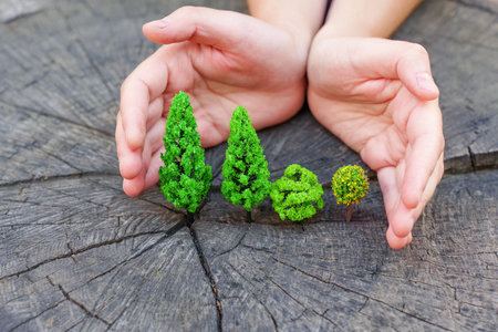 Woman covers toy trees placed on a tree stump outdoors. Forest protection concept.の写真素材