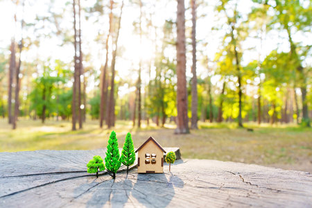 Toy home model and miniature trees placed on a tree stump in the woods. Creative forest real estate concept.の写真素材