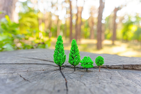 Tiny toy trees placed on a large tree stump in the forest.の写真素材