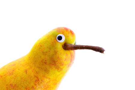 Funny pear character with googly eyes resembling a kiwi bird peeking around corner isolated on white background.の写真素材