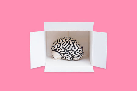 Close-up of a human brain in a shipping box isolated on pink background. Creative education related concept.の写真素材