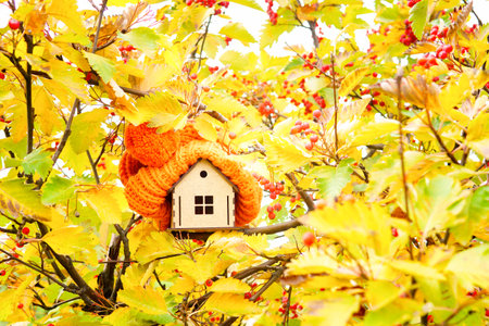 Miniature wooden house model engulfed with a huge pompon winter hat in splendid autumn foliage. Staying warm at home without heating.の写真素材