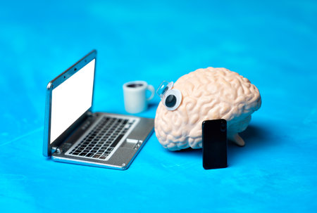Anatomical copy of a human brain with googly yes working on a miniature laptop isolated on blue background. Creative office job related concept.の写真素材