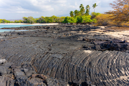 Natural beauty of Hawaii's coastline with frozen lava formations, lush greenery and a vibrant blue sky. The transformative power of nature.の写真素材