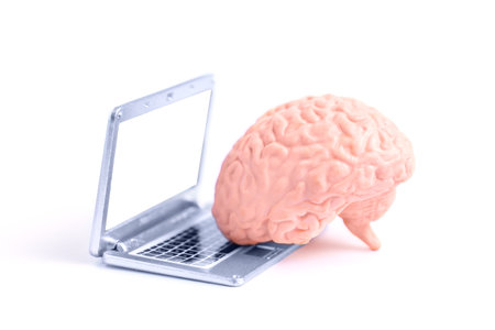 Toy human brain placed next to a miniature laptop isolated on white background with copy space for text or logo. Creative education and learning concept.の写真素材
