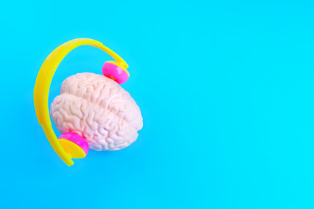 Anatomical human brain model wearing a pair of headphones, set against a vibrant blue background. Music, creativity and education related concept.の写真素材