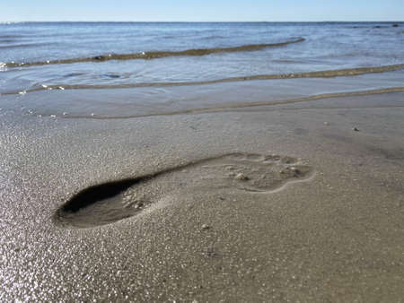 a footprint in the sandの写真素材
