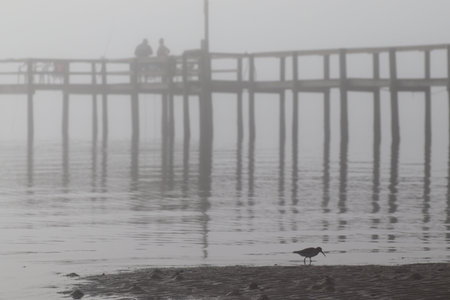 a foggy morning on a Florida panhandle beach.の写真素材