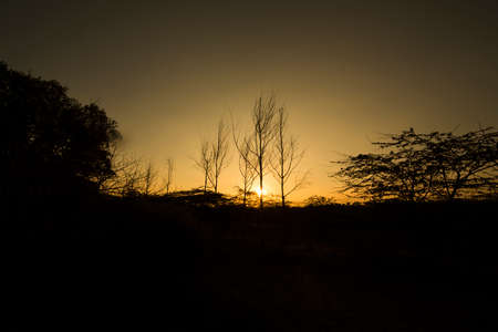 Sunset in the dry land background の写真素材