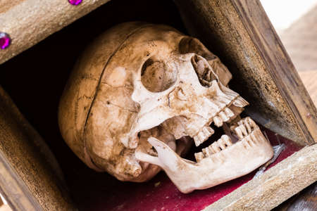human skull enclosed in a wooden case.の写真素材