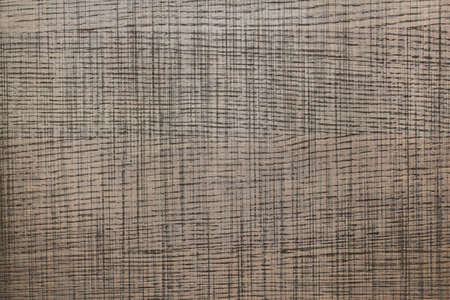 textured background in wood with veins in evidence.の写真素材