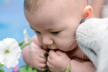 White dog is smelling child's earの写真素材